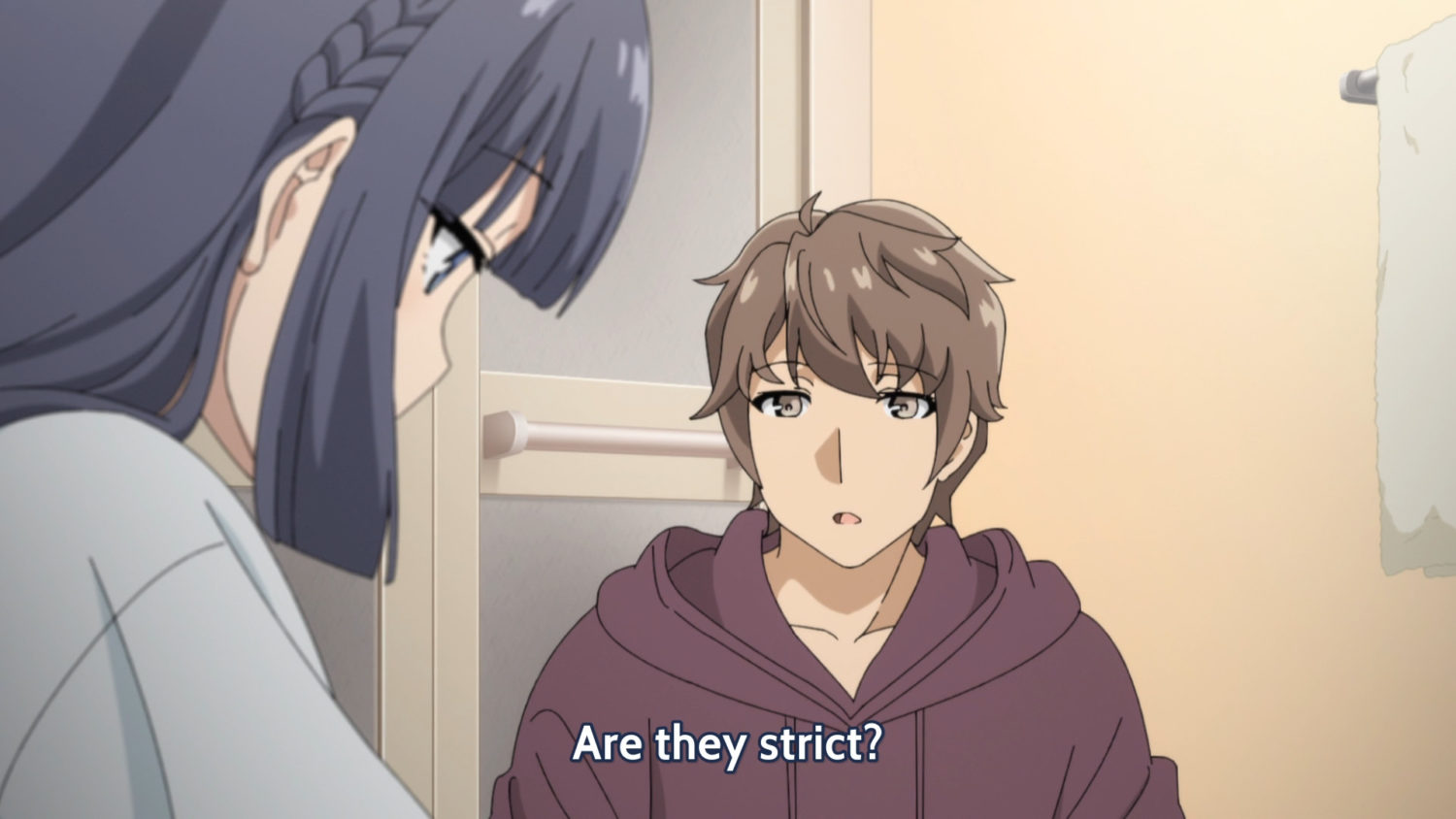 Seishun Buta Yarō Wa Yumemiru Shōjo No Yume O Minai
