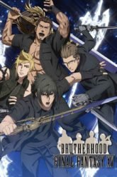 Final Fantasy XV Brotherhood ONA