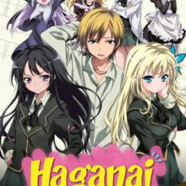 Haganai Boku wa Tomodachi ga Sukunai + NEXT I Don’t Have Many Friends