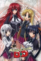 High School DxD～New～Born OVA + OAD + Specials