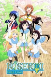 Nisekoi + Nisekoi Second Season + OVA