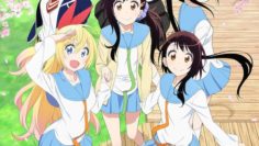 Nisekoi + Nisekoi Second Season + OVA